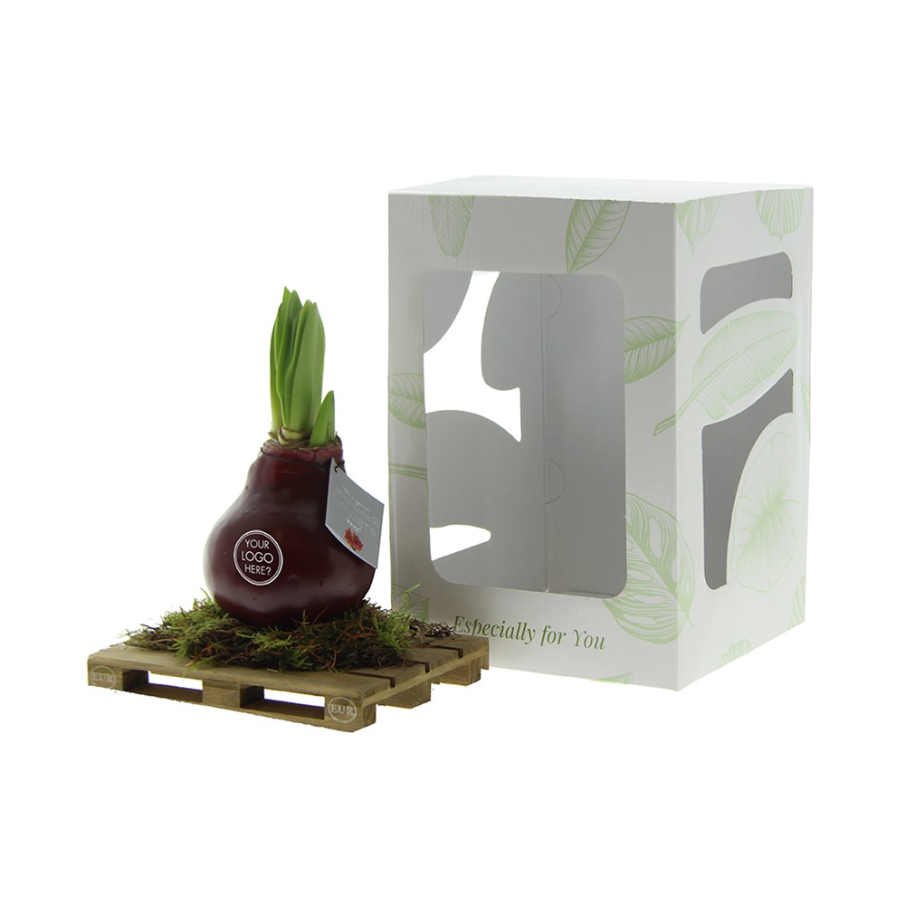No Water Flowers® - Waxz® on pallet, In giftbox, Roze