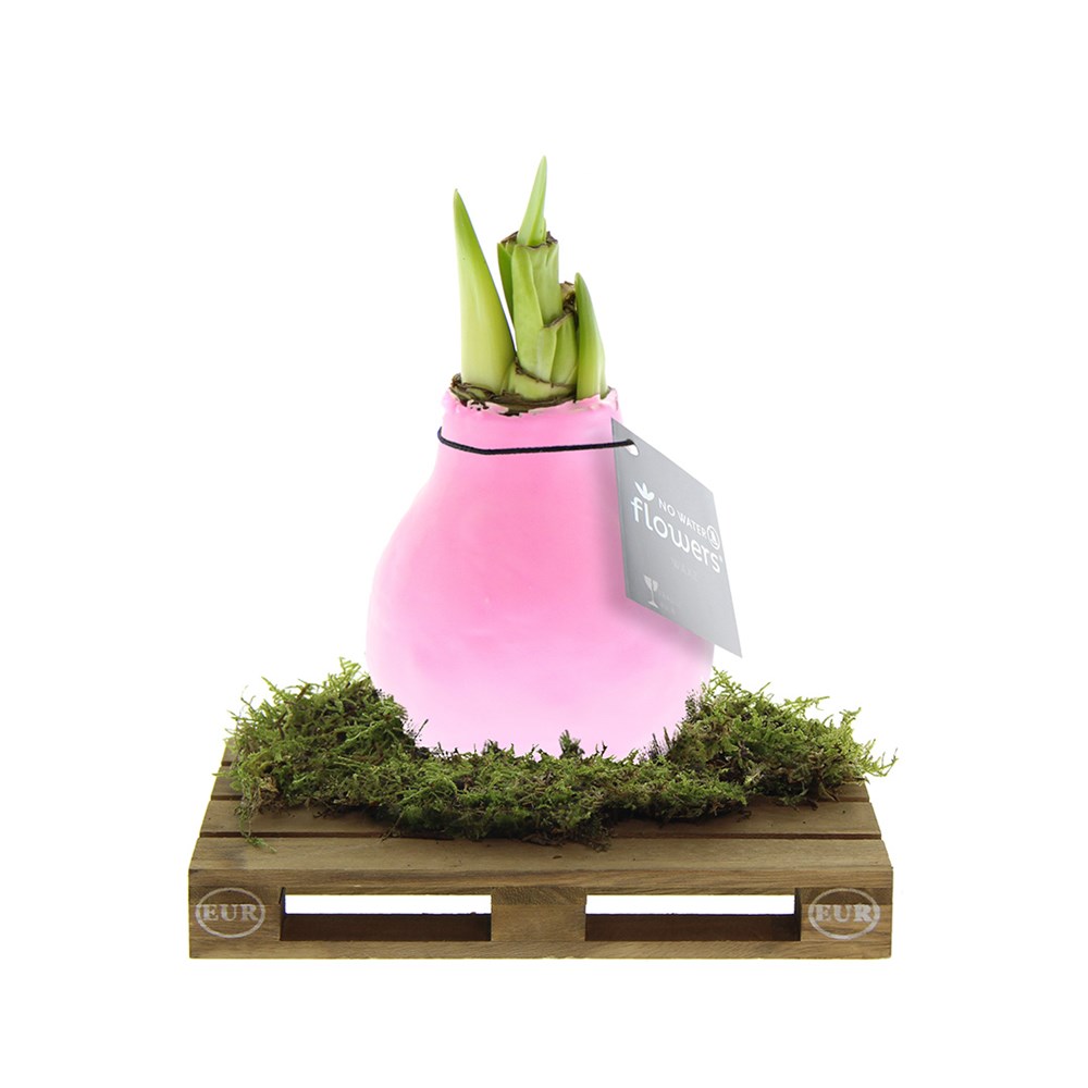 pastel roze