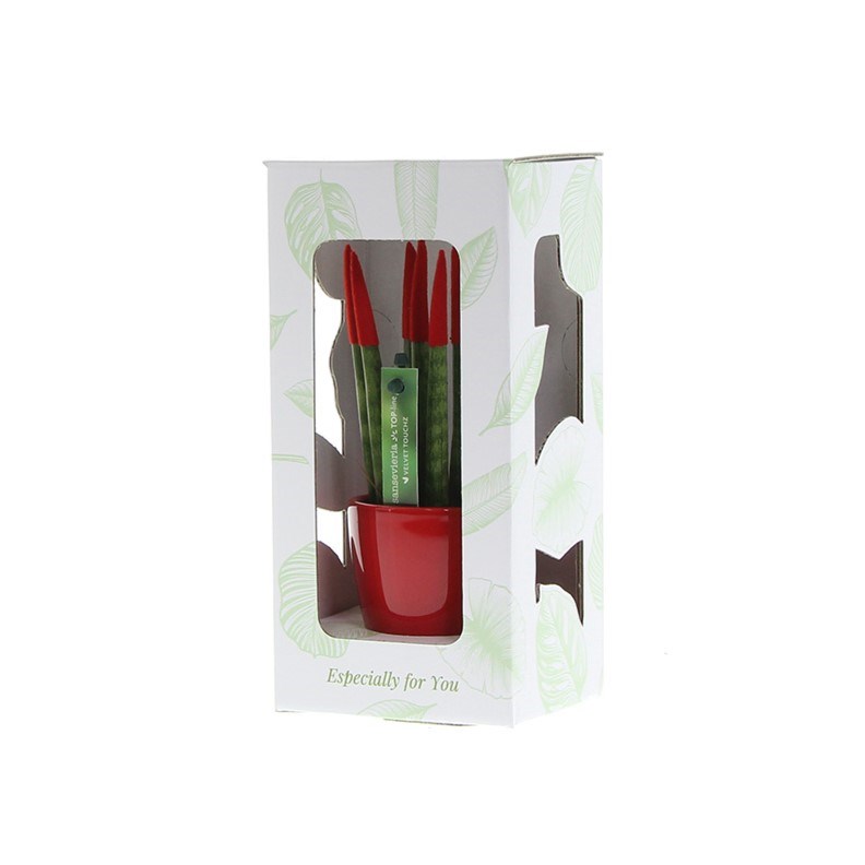 Sansevieria TOP-line - Velvet Touchz® small, Zonder verpakking, Rood