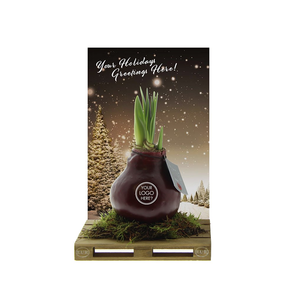 No Water Flowers® - Waxz® on pallet, In giftbox, Roze