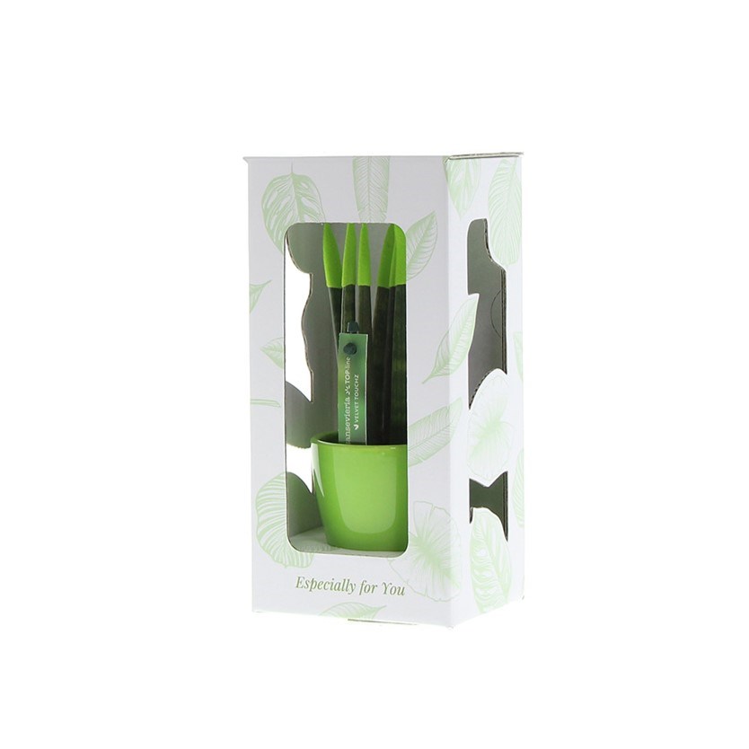 Sansevieria TOP-line - Velvet Touchz® small, Zonder verpakking, Rood